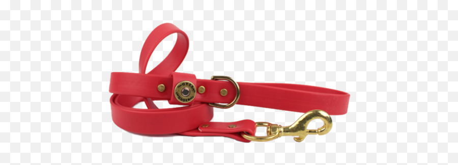 Green Waterproof Dog Collar For Sale - Solid Png,Dog Collar Png Green Waterproof Dog Collar For Sale - Solid Png,Dog Collar Png