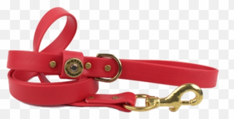 Green Waterproof Dog Collar For Sale - Solid Png,Dog Collar Png