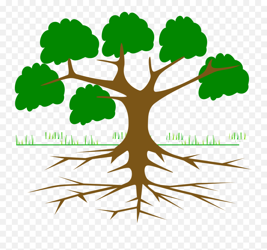 Plant Clipart Root - Arbol De Problemas Para Llenar Png,Tree With Roots Png