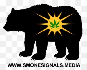 Cropped - Bear Sighting png