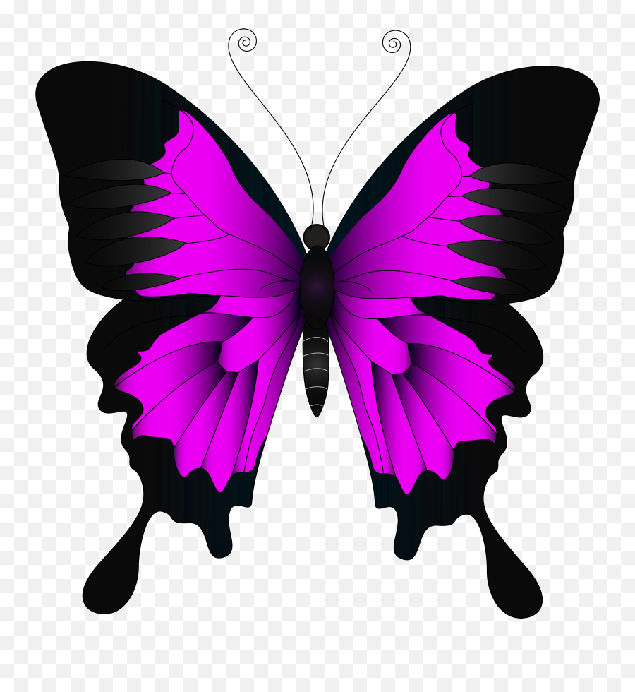 Butterflies Png Transparent - Pink Butterfly Png Clip Art Blue Mountain Swallowtail Butterfly,Butterflies Transparent