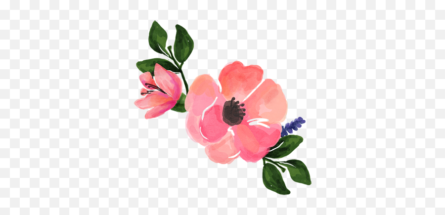 Pink Watercolor Flowers Transparent - You Flower You Feast Png,Watercolor Flower Png