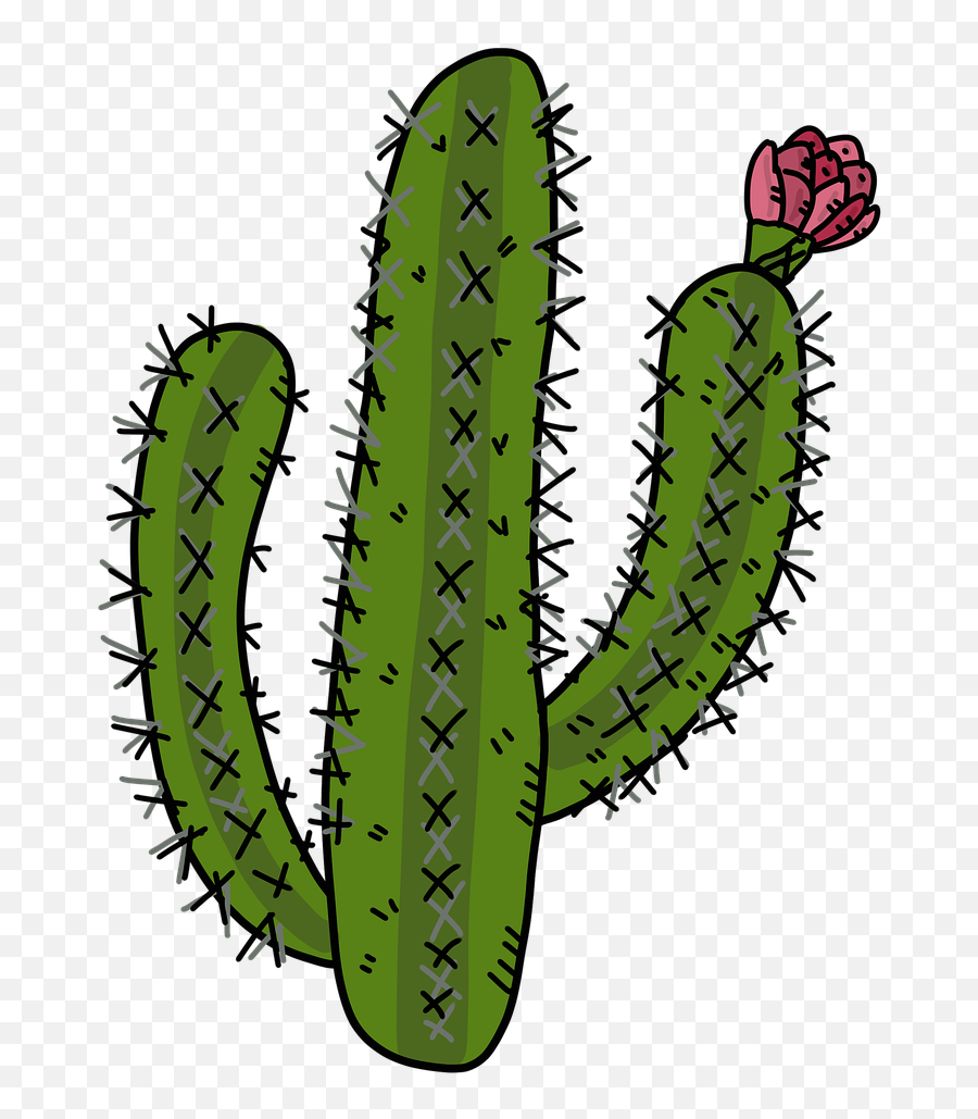 Cactus Desert Plants Rose - Imagenes De Un Captu Png,Desert Plant Png