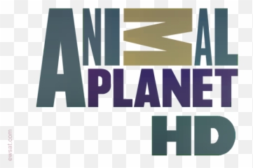 Animal Planet Hd Polish Tv Channel - png