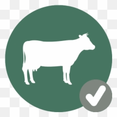 Cow - Iconcheck Hook Norton Veterinary Group Animal Figure Png,Cattle Icon