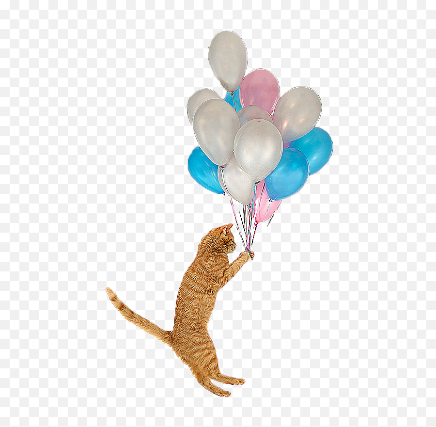 Balloon Cat Png St Gertrude Of Nivelles Icon