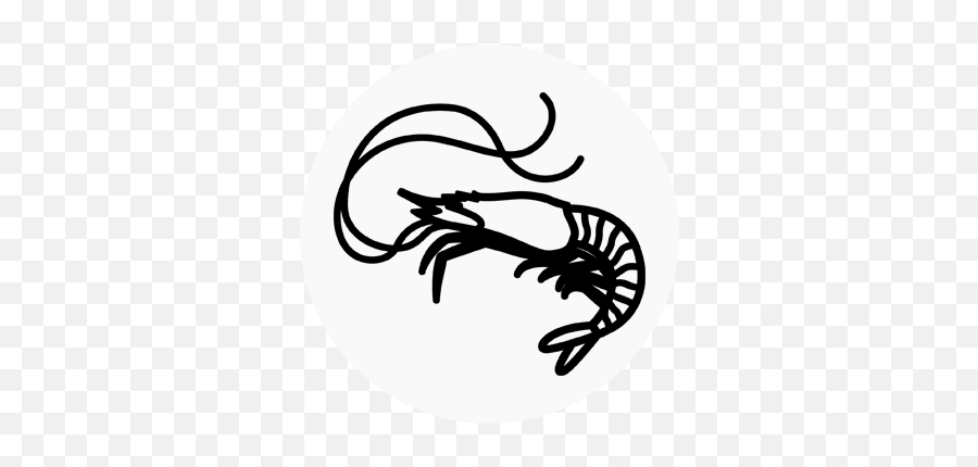 Search - Find Aquarium Animals And Supplies Live Brine Shrimp Easy Ddrawin Of A Brine Shrimp Png,Icon Ghost Carbon