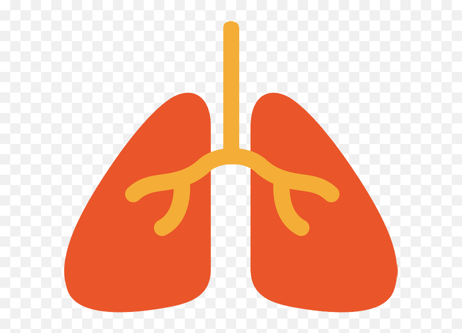 Transparent Lung Clipart - Inroads De México Ac Png,Cute Lung Icon