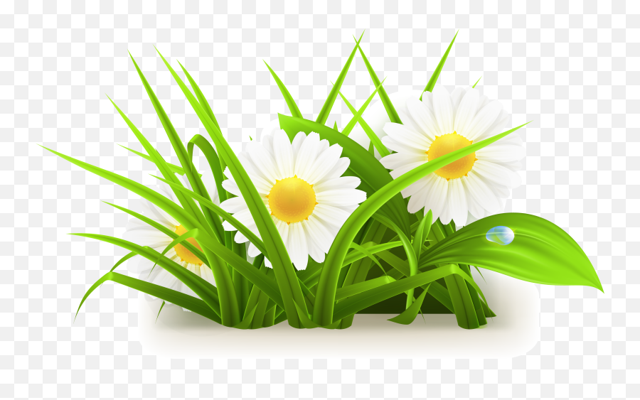 Daisy Vector Free Download - Grass And Flowers Png,Daisy Png