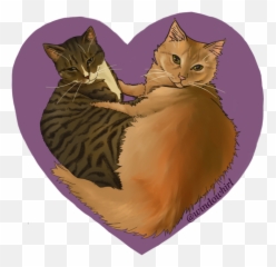 Dafan7711 - Domestic Cat png