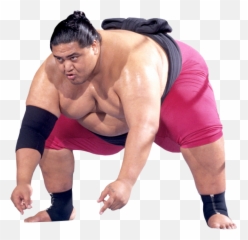 Sumo Png Images Free Download