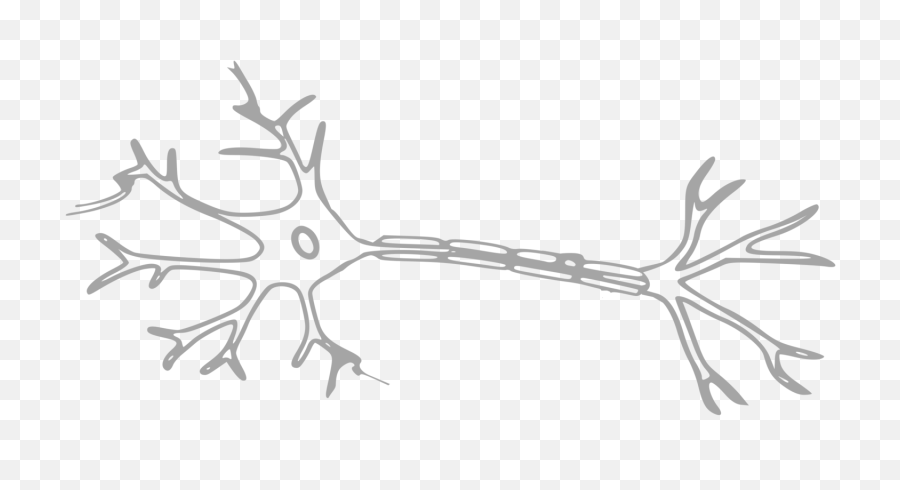 Brain Neuron Nerves - Free Vector Graphic On Pixabay Simple Picture Of Neuron Png,Brain Clipart Transparent