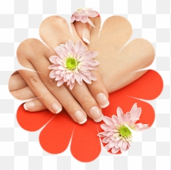 Manicure Em Png Image - Maos Manicure Em Png,Manicure Png