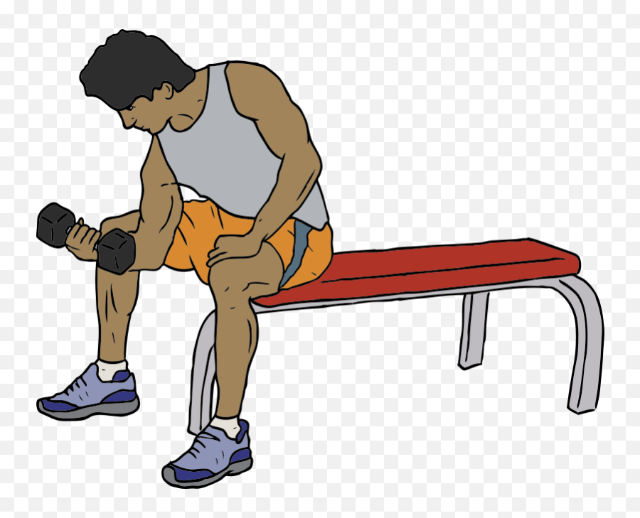 Download Free Png Dumbell Lifter - Weight Lifting Clip Art,Dumbell Png