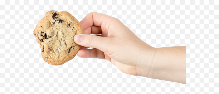 Cookie Policy Andea - Hand With Cookie Transparent Png,Cookie Transparent
