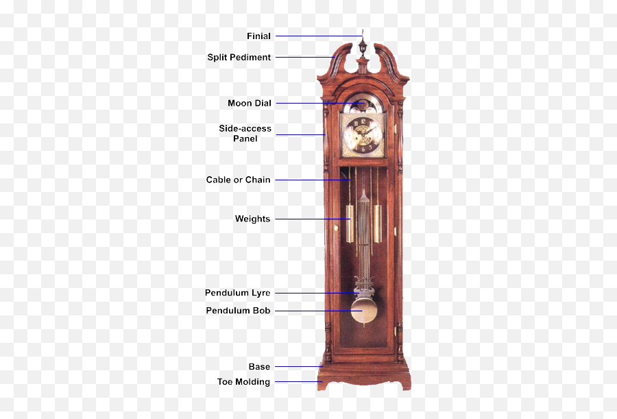 Download Hd A Typical Grandfather Clock - Anatomy Of A Pendulum Adjustment Grandfather Clock Png,Grandfather Clock Png