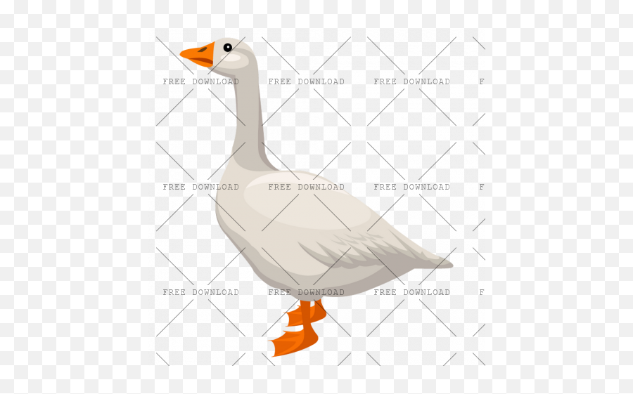 Duck Goose Swan Bird Png Image With - Png Cartoon Geese,Ducks Png
