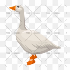 Duck Goose Swan Bird Png Image With - Png Cartoon Geese,Ducks Png
