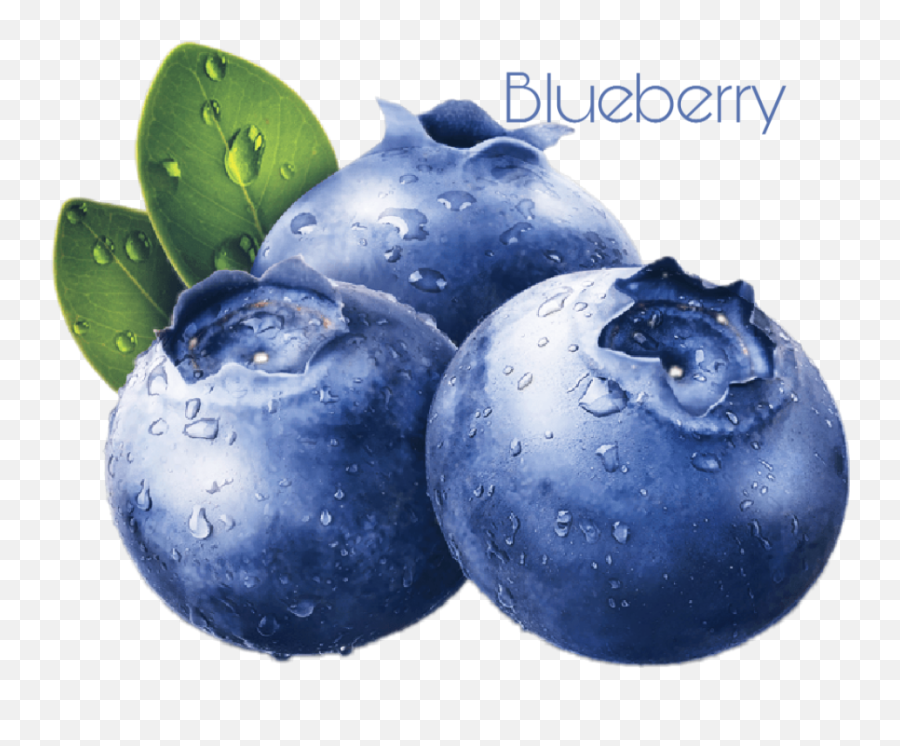 Blueberry Sticker Blueberries By Valerie - Blueberries Png,Blueberry Transparent Background