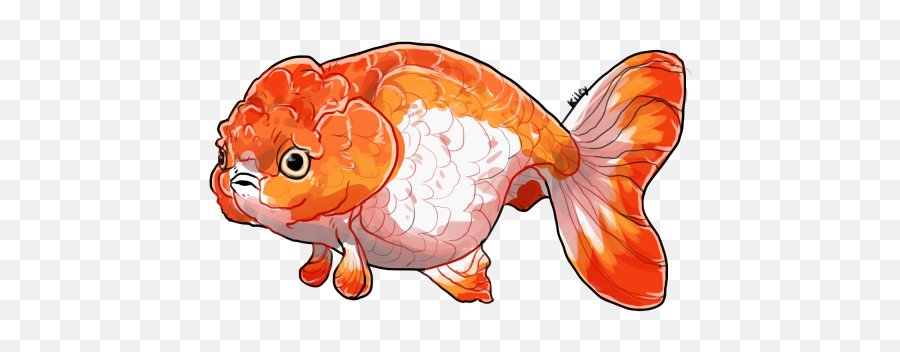 Download Goldfish Png Clipart Best Web - Clip Art,Goldfish Png