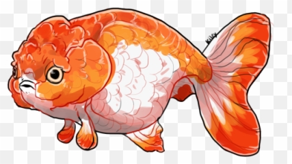 Download Goldfish Png Clipart Best Web - Art