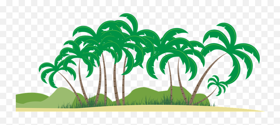 Beach Sand Palm - Fresh Png,Beach Sand Png