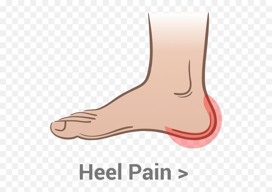 Heel Pain U2013 Kassis Brothers Shoes - Ankle Png,Heel Png