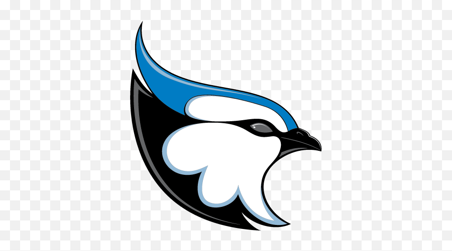 Athleticknit Logos For Your Custom Jerseys And Teamwear - Blue Jay Logo Illustrator Png,Blue Jays Logo Png