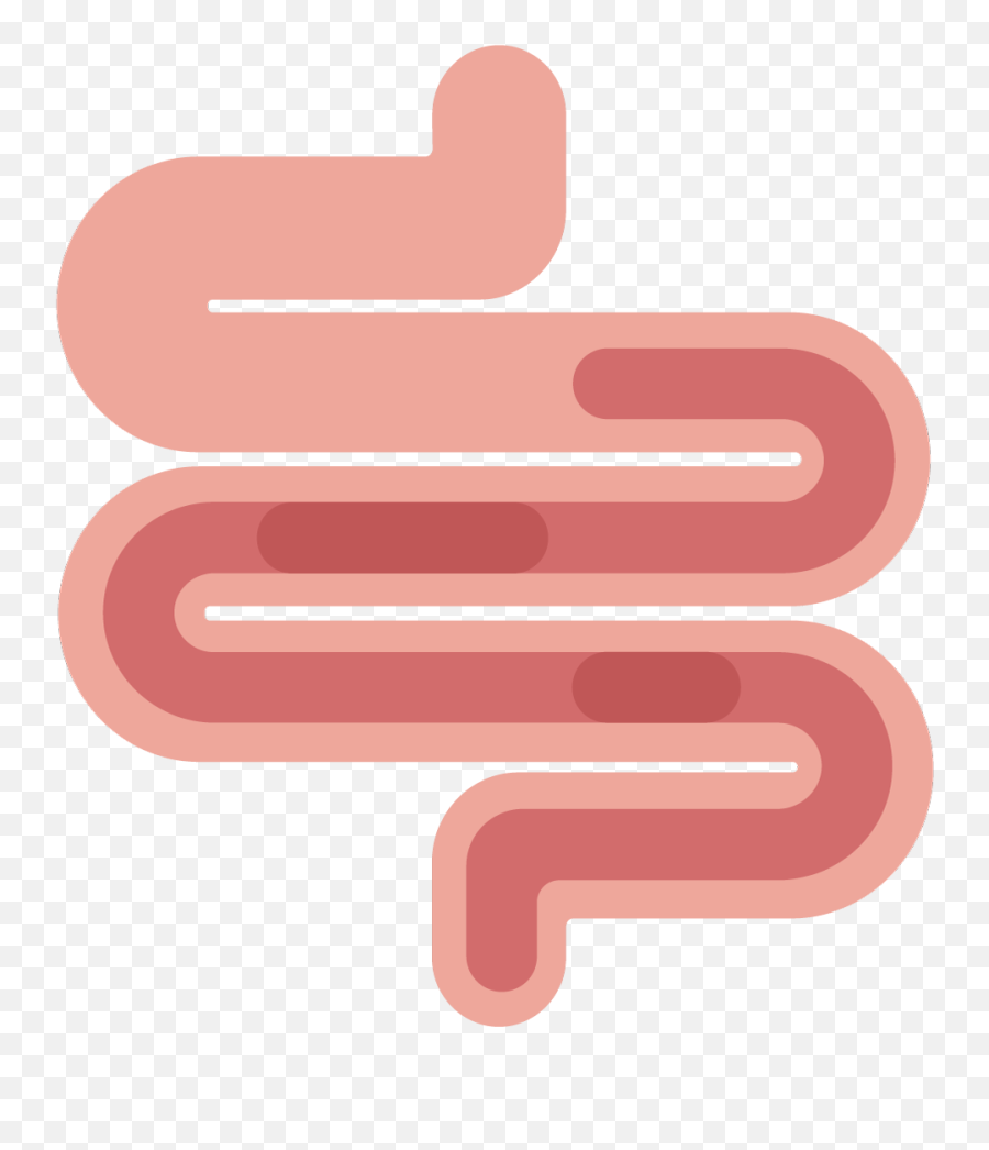 Inflammatory Bowel Disease - Inflammatory Bowel Disease Png,Intestine Icon