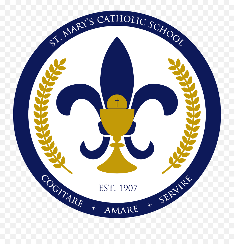 Logo Meaning U0026 History Lawton Ok St Maryu0027s Catholic School - Best Seller Top Seller Certificate Png,Virgin Mary Png