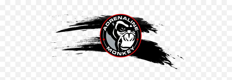 Adventure - School Page Wwwadrenalinemonkeyfuncom Adrenaline Monkey Logo Png,Socialitation Icon