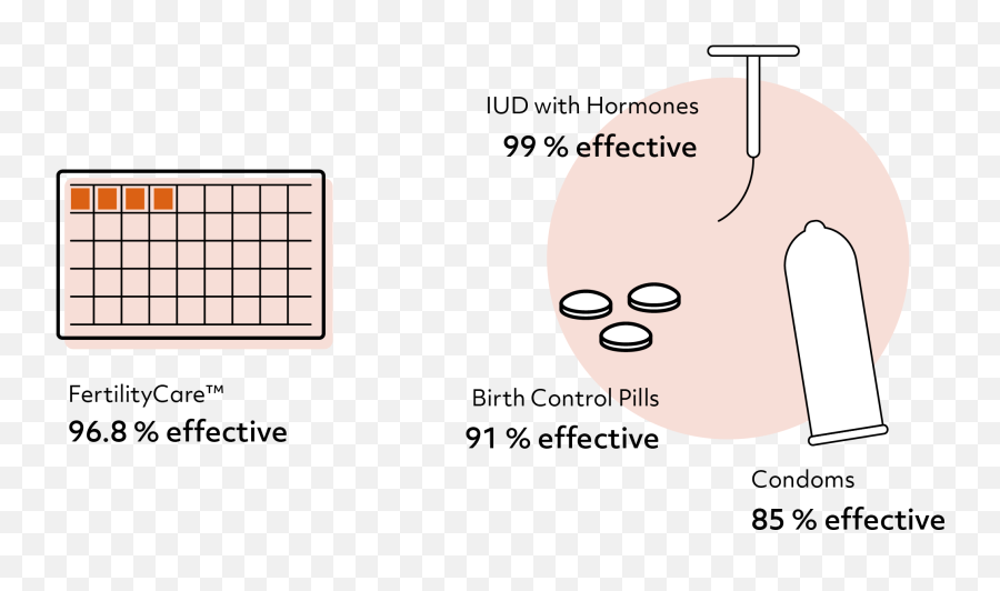 Bloom Cycle Care - Dot Png,Iud Icon