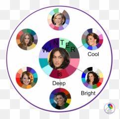 Seasonal Color Analysis Winter - Colours Suit Me Quiz png