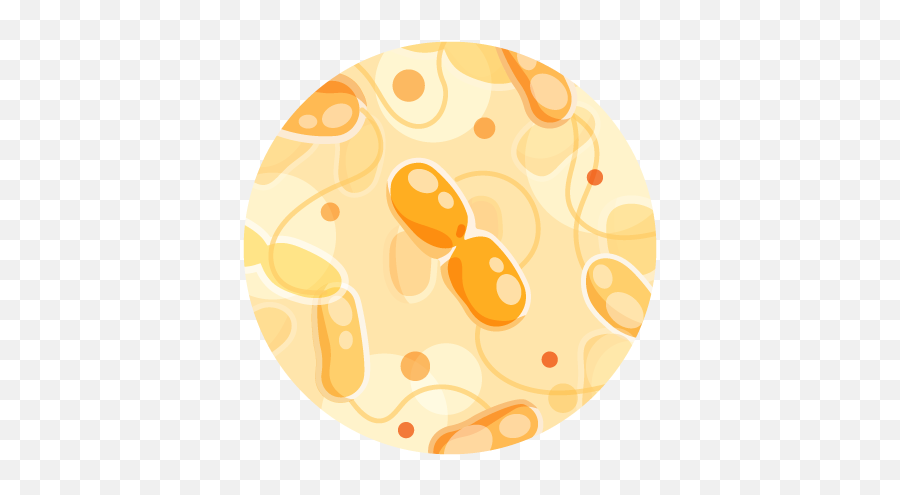 Coliform Bacteria U2013 Simplelab Tap Score - Dot Png,High Score Icon