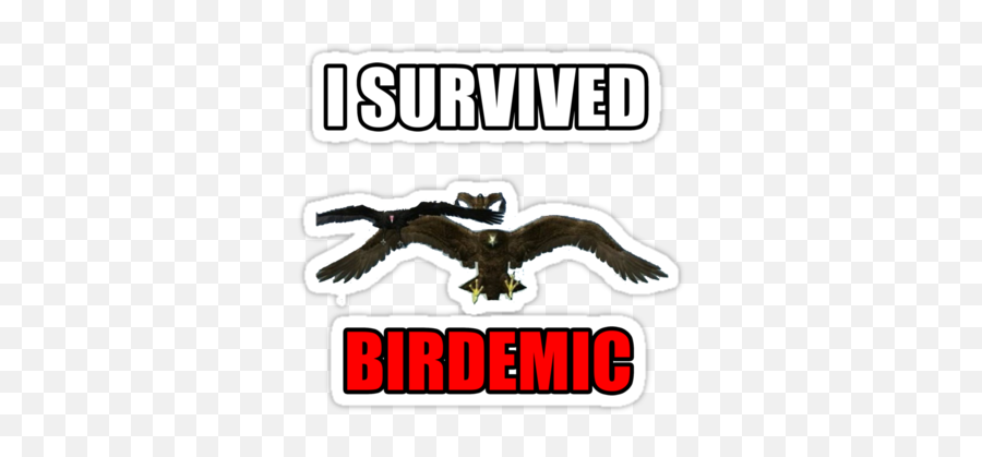 I Survived Birdemic By Dickbutt Survival - Birdemic Shock And Terror Png,Dickbutt Png