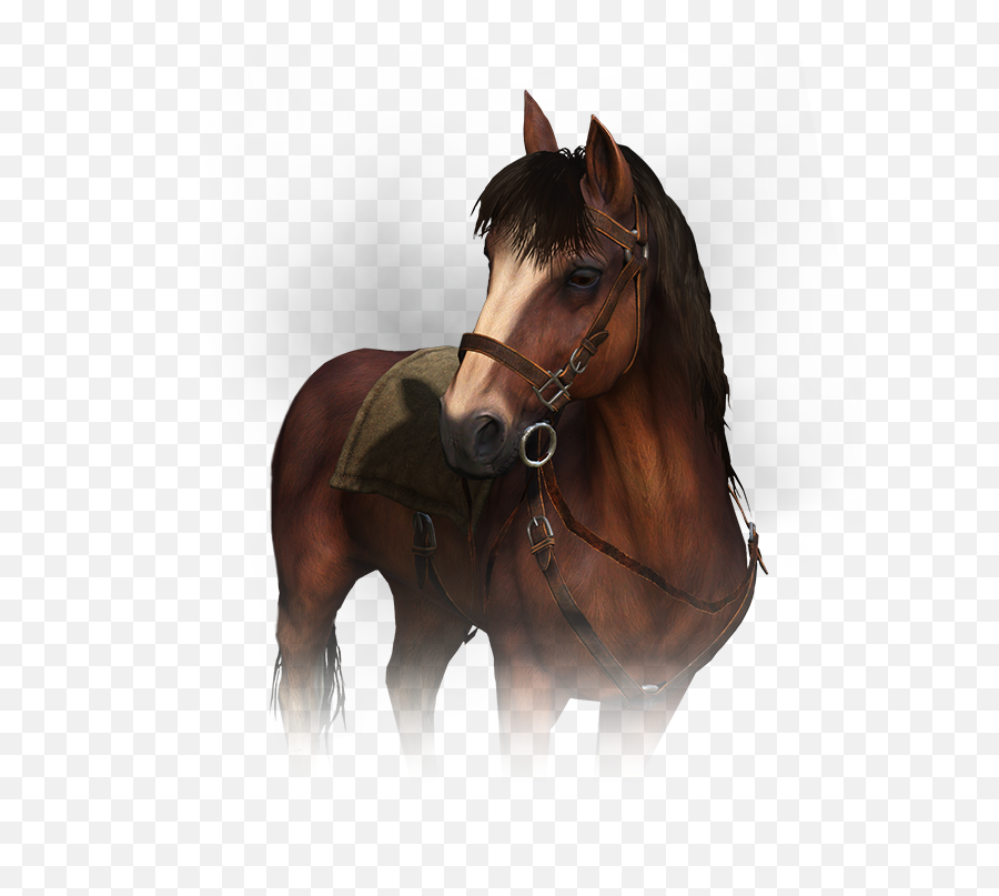 Download Hd Roach The Witcher Transparent Png Image - Roach Horse,Witcher Png
