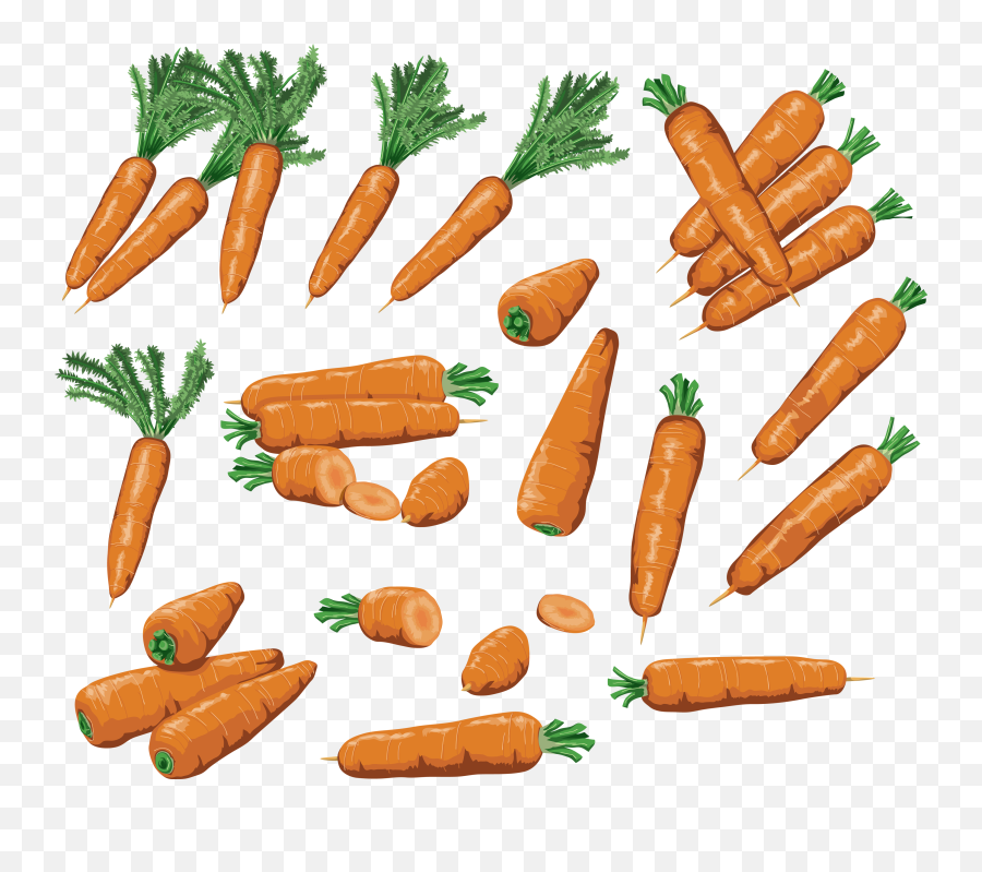 Carrots Png Image - Carrot,Carrots Png
