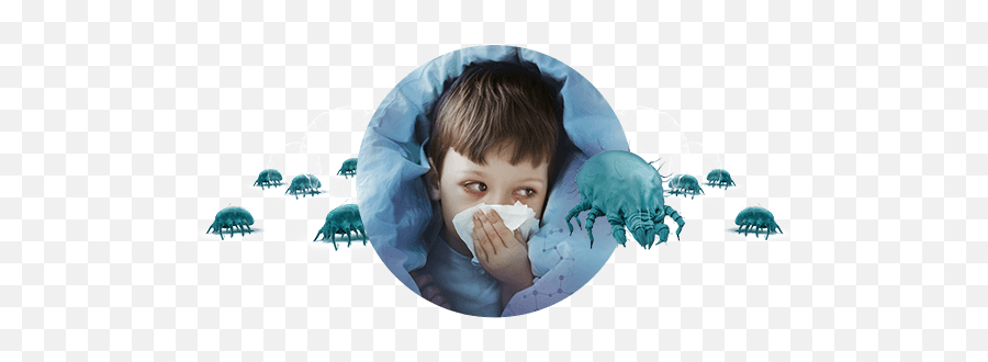 Your Child Is Allergic To Dust Mites Exaller - Palette Png,Dust Cloud Png