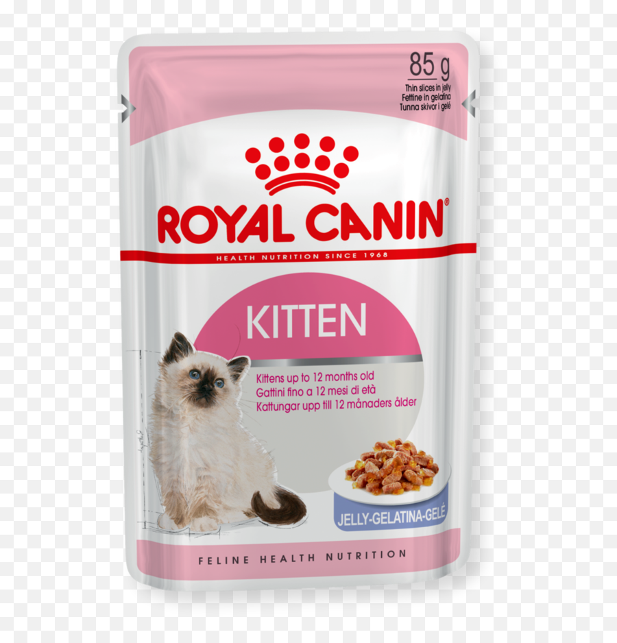 Royal Canin Kitten Instinctive Jelly Wet Food 12 Pack - Royal Canin Wet Kitten Food Png,Wet Png