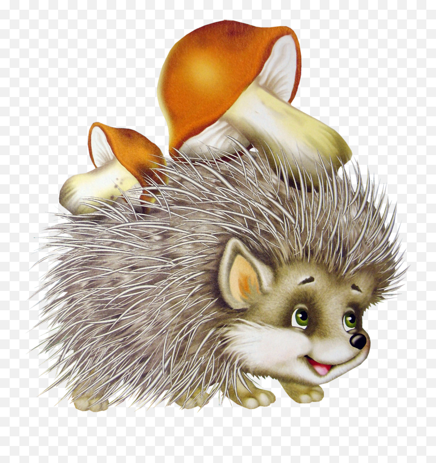 Hedgehog Png Picture Transparent Background
