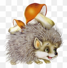 Hedgehog Png Picture