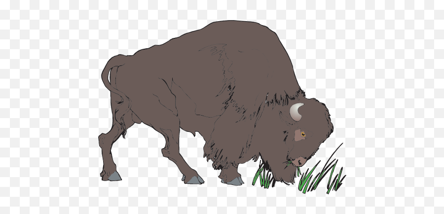 Clipart Bison Png Image With No - Transparent Animation Buffalo Gif,Bison Png