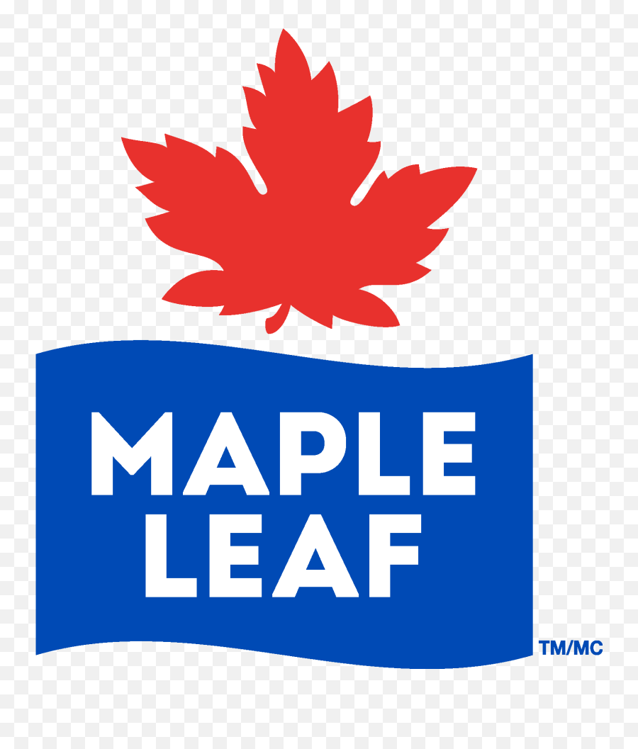 Maple Leaf Logo Download Vector - Museum Of Fine Boston Png,Leaf Logo