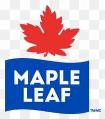 Maple Leaf Logo Download Vector - Museum Of Fine Boston Png,Leaf Logo