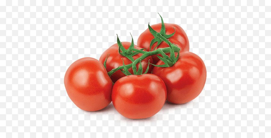 Mucci Farms - Tov Tomatoes Png,Tomatoe Png