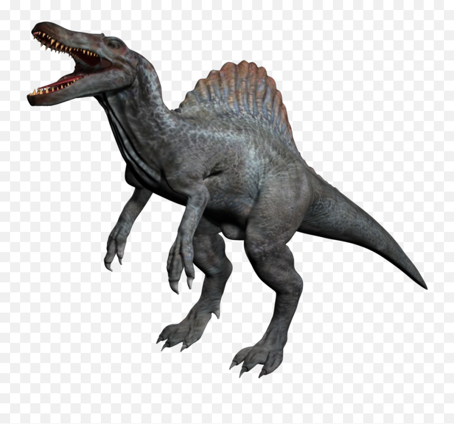 Download Spinosaurus Png - Animal Allosaurus Kentrosaurus Stegosaurus,Spinosaurus Png