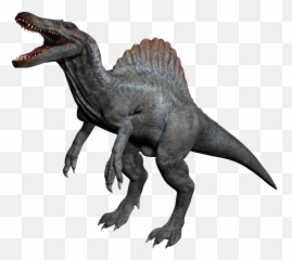 Download Spinosaurus Png - Animal Allosaurus Kentrosaurus Stegosaurus,Spinosaurus Png