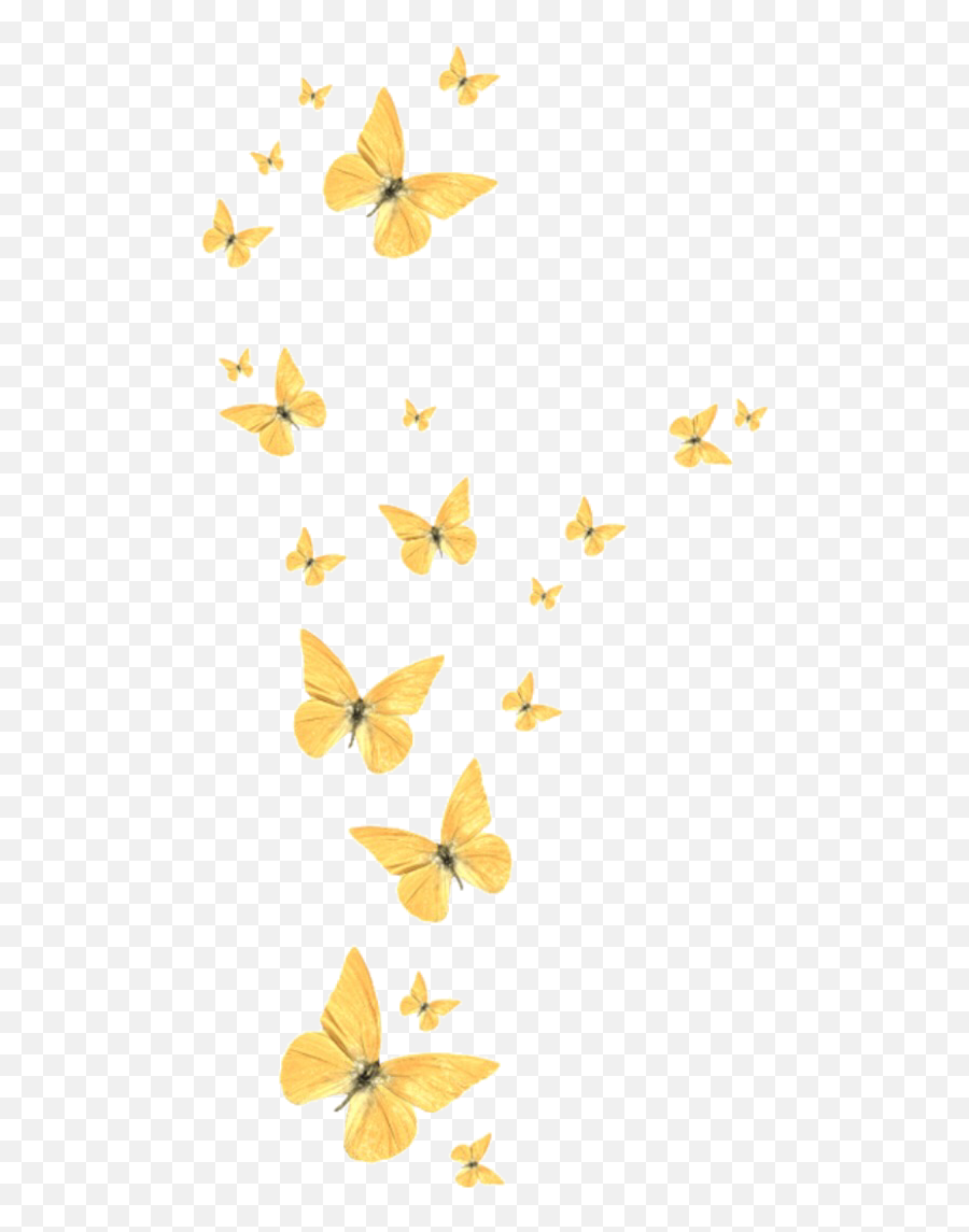 Gold Butterflies Pngs Png Cute Sticker - Blouse,Gold Butterfly Png
