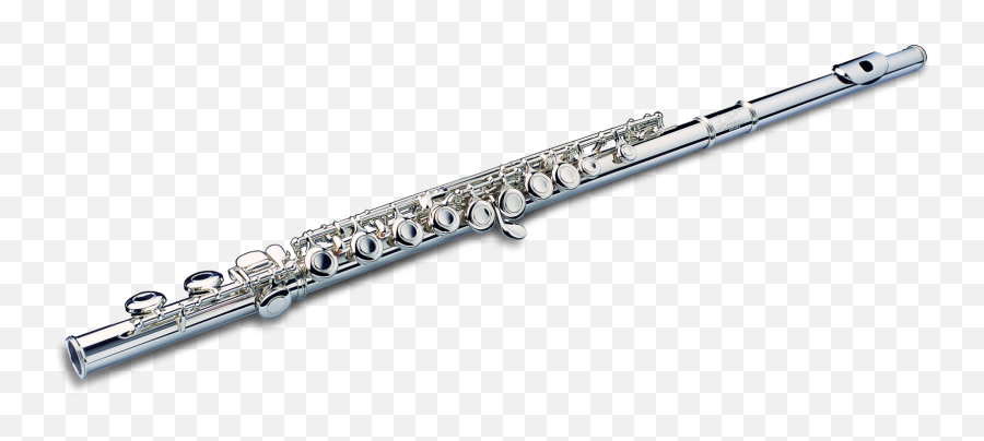 Extended Flute Techniques Researched - Solid Png,Flute Transparent