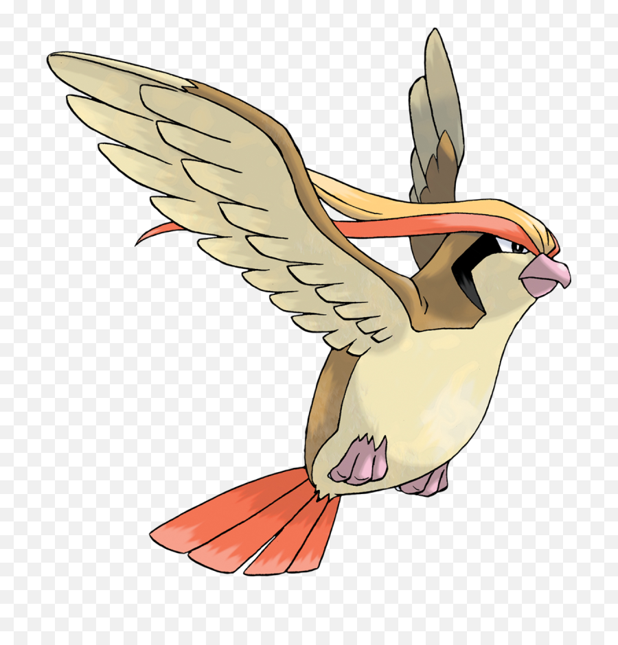 Pidgeot - Pokémon Firered And Leafgreen Png,Pidgey Png